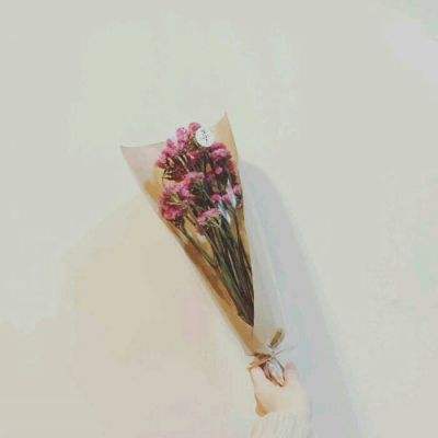 叫我停车达人游戏下载